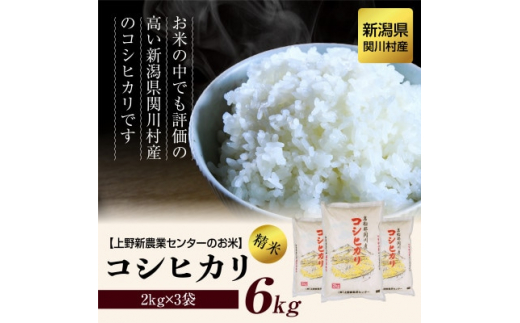 新潟県関川村のふるさと納税 お礼の品ランキング【ふるさとチョイス】