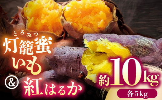 さつまいも 食べ比べ セット「灯籠蜜いも とろみついも」と「 紅はるか 」計 約10kg (各5kg)【株式会社 アグリファーム未来】おいも 熊本 芋   [ZDN003]