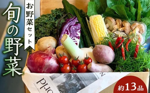 野菜セット 旬の野菜 (約13品) 993082 - 徳島県徳島市