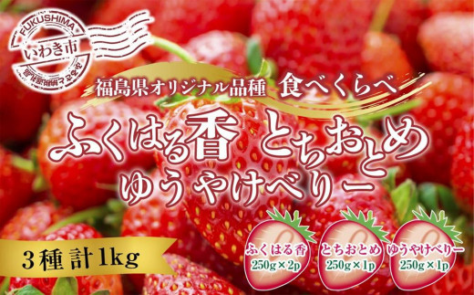 産地直送】いわき市産いちご「ふくはる香」「とちおとめ」「ゆうやけ