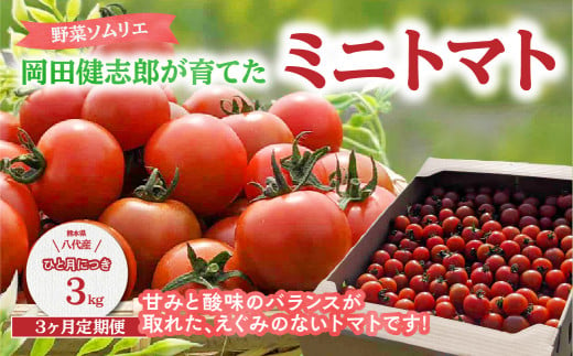【定期便3回】 野菜ソムリエ岡田健志郎が育てた ミニトマト3kg