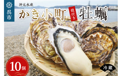 選べる配送時期】沖元水産 かき小町 殻付き 牡蠣 10個 牡蠣ナイフ