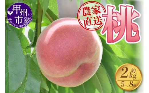 さんちゃんファームの桃約2kg（5玉～8玉）【2024年発送】B-151