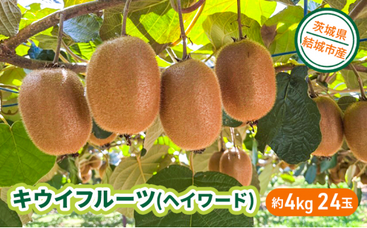 茨城県結城市のふるさと納税 お礼の品ランキング【ふるさとチョイス】