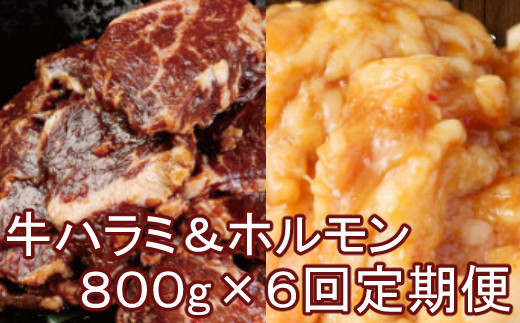 ヤマジュウの特選タレ漬け！牛ハラミ肉＆国産牛ホルモン計８００ｇ【６回定期便】