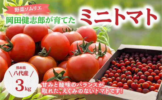 野菜 ソムリエ 岡田健志郎 が育てた ミニトマト 3kg