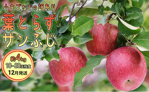 12月発送 訳あり 葉とらず サンふじ 約4kg【弘前市産・青森りんご】|合同会社グランドアグウィル　弘前事業所