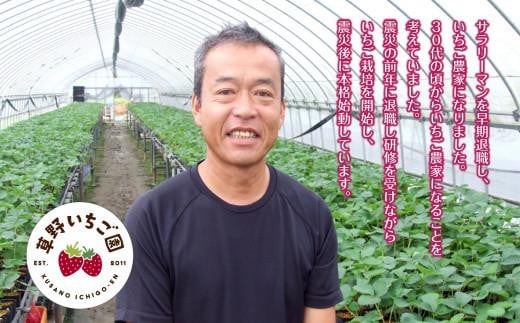 【産地直送】いわき市産いちご「ふくはる香」「とちおとめ」「ゆうやけベリー」の食べ比べセット1kg（250g×4パック）