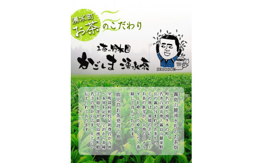 B05 厳選一番茶セット湧水上級煎茶「山麓茶」(計400g・80g×5袋)【野本