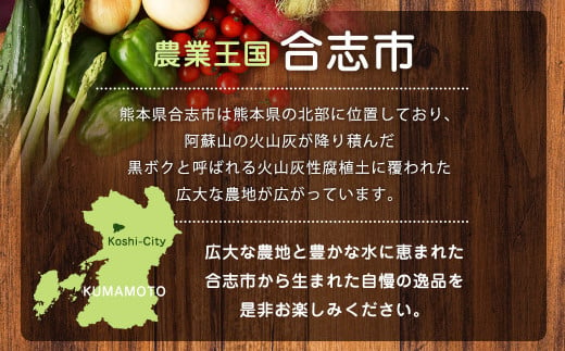 熊本県 合志の旬のお野菜 定期便 年5回 コース
