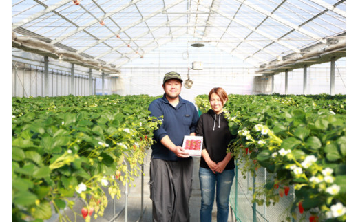 川島町のいちご生産農家「ストロベリーハント」のいちごを使用しています。