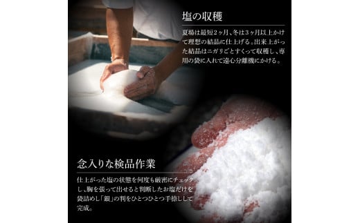 銀象ソルト　Ginzo-Salt　お試しサイズ３種類セット