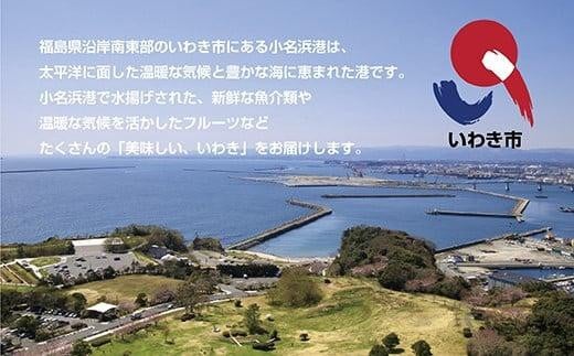 【産地直送】いわき市産いちご「ふくはる香」「とちおとめ」「ゆうやけベリー」の食べ比べセット1kg（250g×4パック）