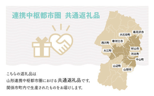 米 新米 20kg 5kg×4袋 あきたこまち 令和5年産 2023年産 山形県産 無