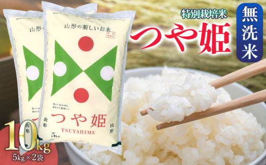 【9月下旬発送】令和5年産 特別栽培米 つや姫  無洗米 5Kg×2袋 計10Kg 山形県 庄内産  1404351 - 山形県鶴岡市