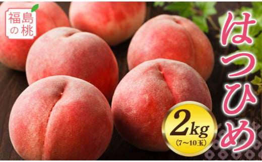 福島の桃 はつひめ 2kg（7～10玉）先行予約 フルーツ 果物 伊達市産 もも モモ momo F20C-549 299383 - 福島県伊達市