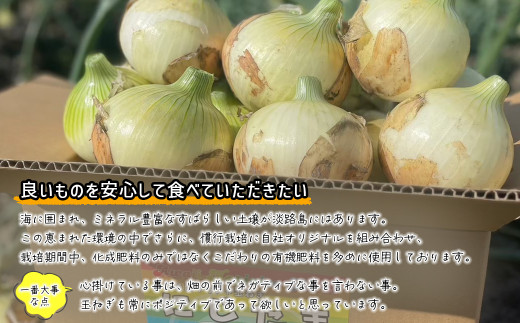 まるでフルーツ？！淡路島産ブランド新玉ねぎ 極早生 「にじたま」10kgダンボール入り【発送時期2024年1月中旬～2024年4月頃】