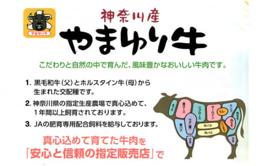 No.861 やまゆり牛 小間切れ 約1000g ／ お肉 こまぎれ やわらかい