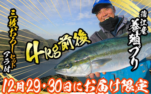 [先行予約受付中!12月29日、30日にお届け]養殖ブリ(三枚おろし・アラ付き)鮮魚 海鮮 神経締め 冷蔵 大分県 佐伯市[HD217][さいき本舗 城下堂]