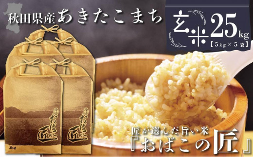 秋田県産おばこの匠あきたこまち 25kg （5kg×5袋）玄米【令和5年産