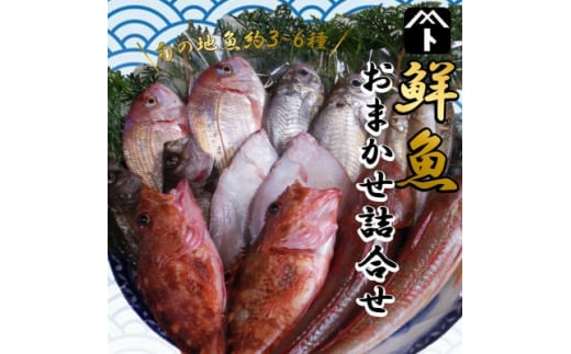 豊浜漁港で水揚げした鮮魚詰め合わせ 738785 - 愛知県南知多町