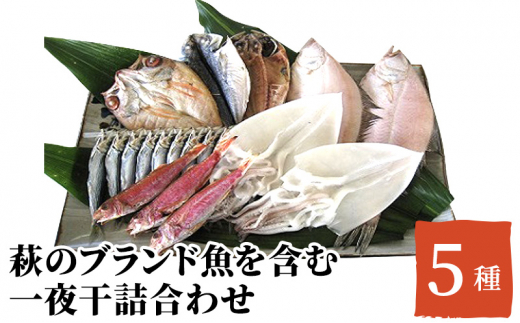 萩市」のふるさと納税 お礼の品一覧【ふるさとチョイス】