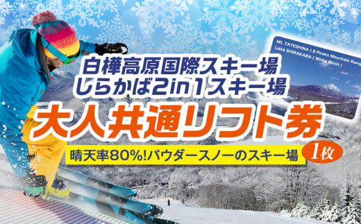 もうすぐ100年！】やぶはら高原スキー場リフト1日券引換券 - 長野県