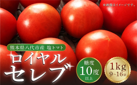 先行予約】 くまもと塩トマト「ロイヤルセレブ」 【2024年1月上旬より