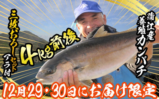 [先行予約受付中!12月29日、30日にお届け]養殖カンパチ(三枚おろし・アラ付き)鮮魚 海鮮 神経締め 冷蔵 大分県 佐伯市[HD215][さいき本舗 城下堂]