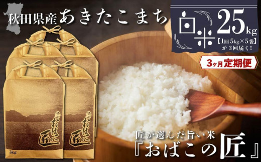 ３ヶ月定期便】秋田県産おばこの匠あきたこまち 15kg （5kg×3袋）白米