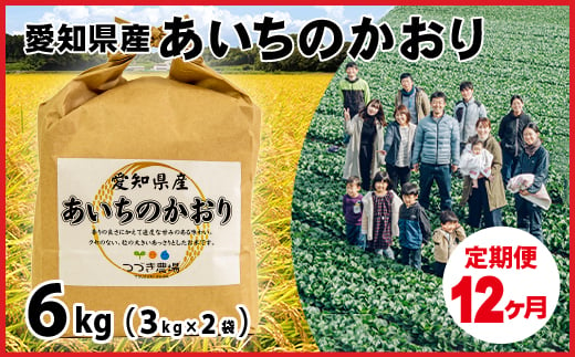 No.199 【12ヶ月定期便】愛知県産あいちのかおり 6kg×12回 ／ お米