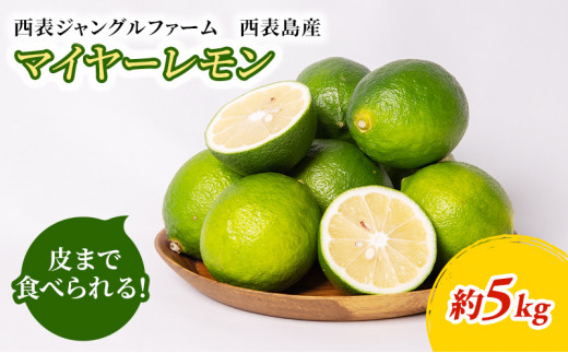 まとめてお得、果汁たっぷり マイヤーレモン（島レモン）約5kg / 沖縄 ...