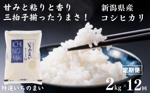 令和5年産【定期便】 新潟県産コシヒカリ「特選いちのまい」2㎏×12ヶ月