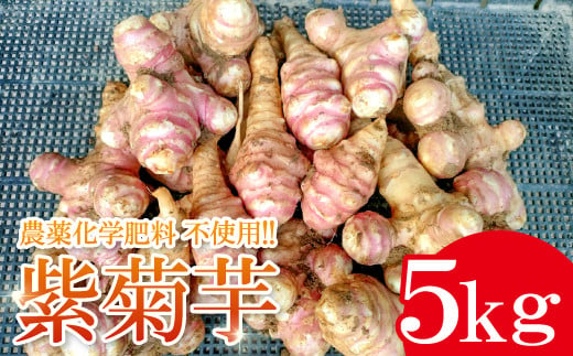 菊芋には豊富なイヌリン(水溶性食物繊維)が含まれていてカリウムやポリフェノールも含まれています。