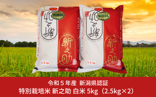 特別栽培米 新之助 5kg （2.5kg×2袋） 新潟県三条市産 白米 しんのすけ