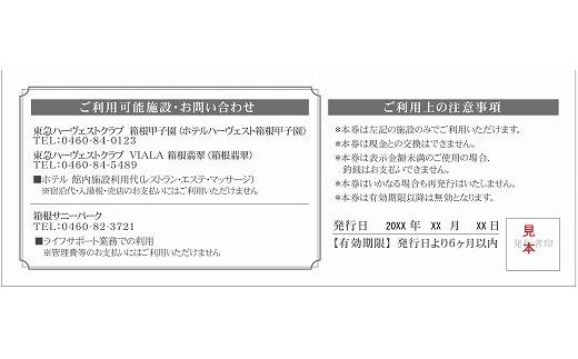 東急リゾーツ&ステイ　箱根エリアで使用できる利用券（3,000円分×6枚）