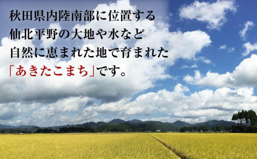 ３ヶ月定期便】秋田県産おばこの匠あきたこまち 15kg （5kg×3袋）白米