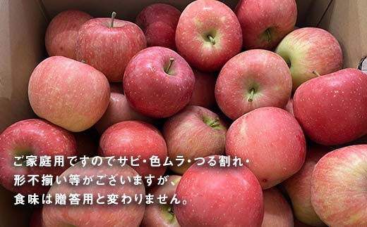 〈訳あり品 家庭用〉 りんご 「サンふじ」 約10kg バラ詰め 《12月上旬～1月下旬発送》 『カネタ髙橋青果』 リンゴ 山形県 南陽市 [1959]