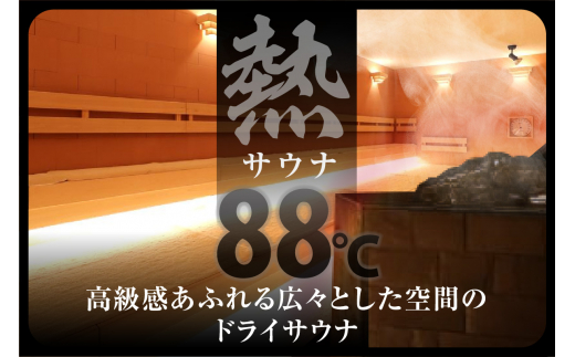 サウナイーグル招待券 1枚 [1141] / 愛知県知立市 | セゾンのふるさと納税