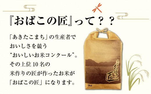 ３ヶ月定期便】秋田県産おばこの匠あきたこまち 15kg （5kg×3袋）白米