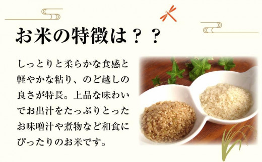 ３ヶ月定期便】秋田県産おばこの匠あきたこまち 15kg （5kg×3袋）白米