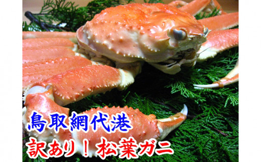 松葉」のふるさと納税 お礼の品一覧【ふるさとチョイス】 28ページ目