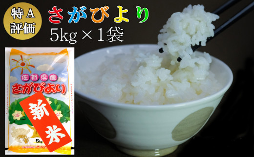 新米 令和5年産 さがびより 5kg【特A米 米 ブランド米 県産米 精米