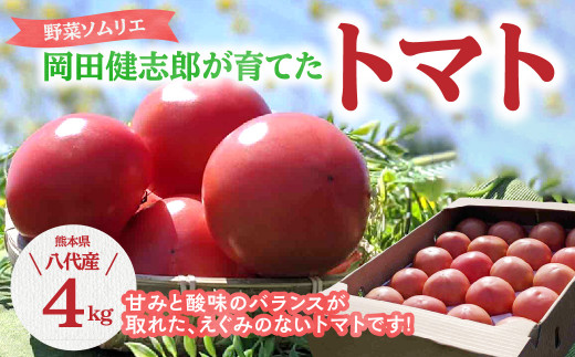 【定期便3回】 野菜ソムリエ岡田健志郎が育てた トマト4kg