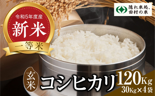 新米 【 令和5年 田村市産 】 玄米 コシヒカリ 120kg ！！ まとめて