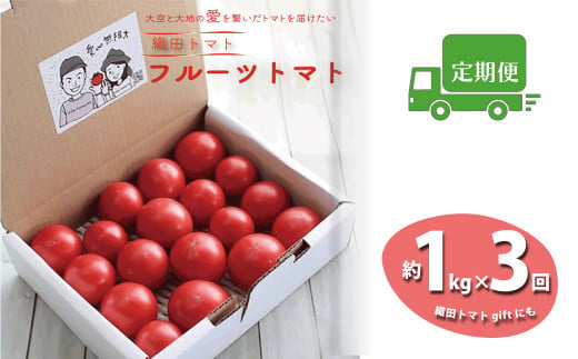 [3回定期便]フルーツトマト 1kg×3回『合計3kg』 織田トマト 高知 牧野富太郎博士の好物