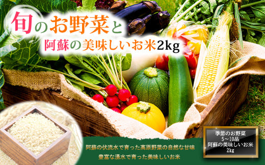 季節のお野菜セットとお米のセット 832368 - 熊本県阿蘇市