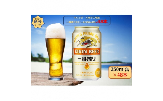 キリンビール取手工場産　一番搾り生ビール350ml缶-24本×2ケース【1332269】|藤沢商店（ヤマト）