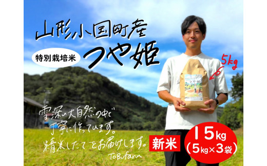 山形県小国町産　つや姫・15kg（5kg×3袋）|有限会社東部開発