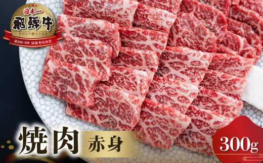 飛騨牛 赤身 焼肉用 300g [S550]